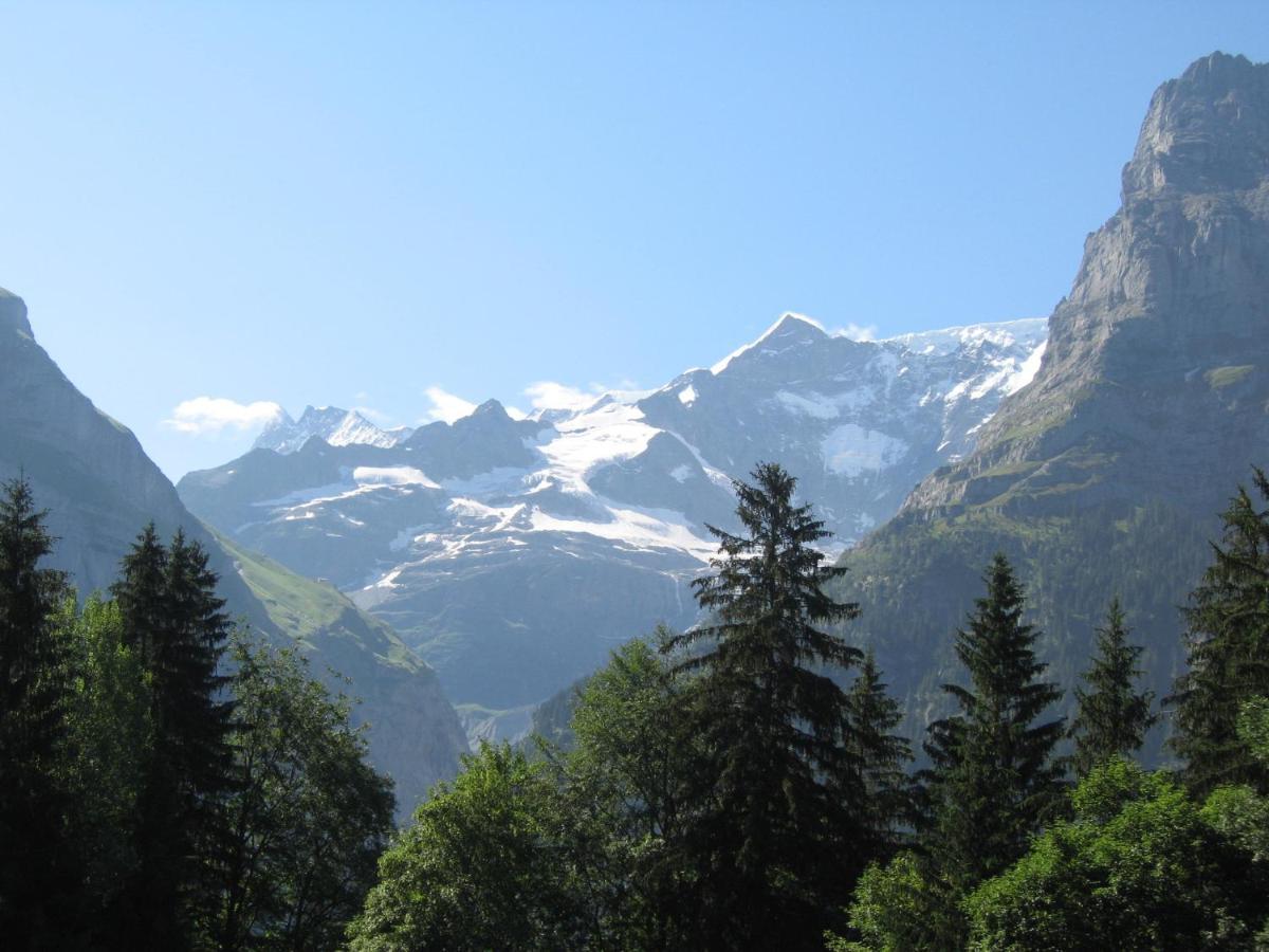 Naturfreunde Hostel Grindelwald Værelse billede